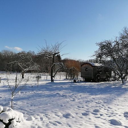 Bed and Breakfast Roulotte Le Temps De Rever Saint-Michel-sur-Meurthe Zewnętrze zdjęcie